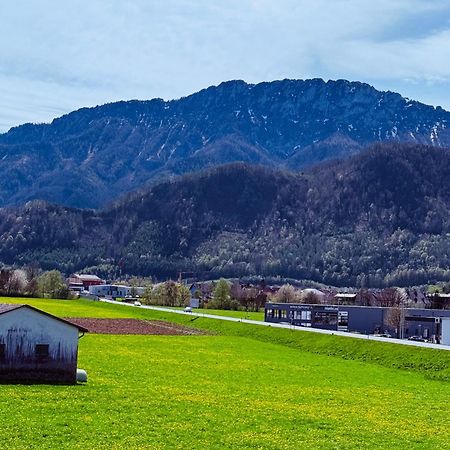 Zentrale Wohnung Mit Alpenblick Micheldorf in Oberosterreich ภายนอก รูปภาพ