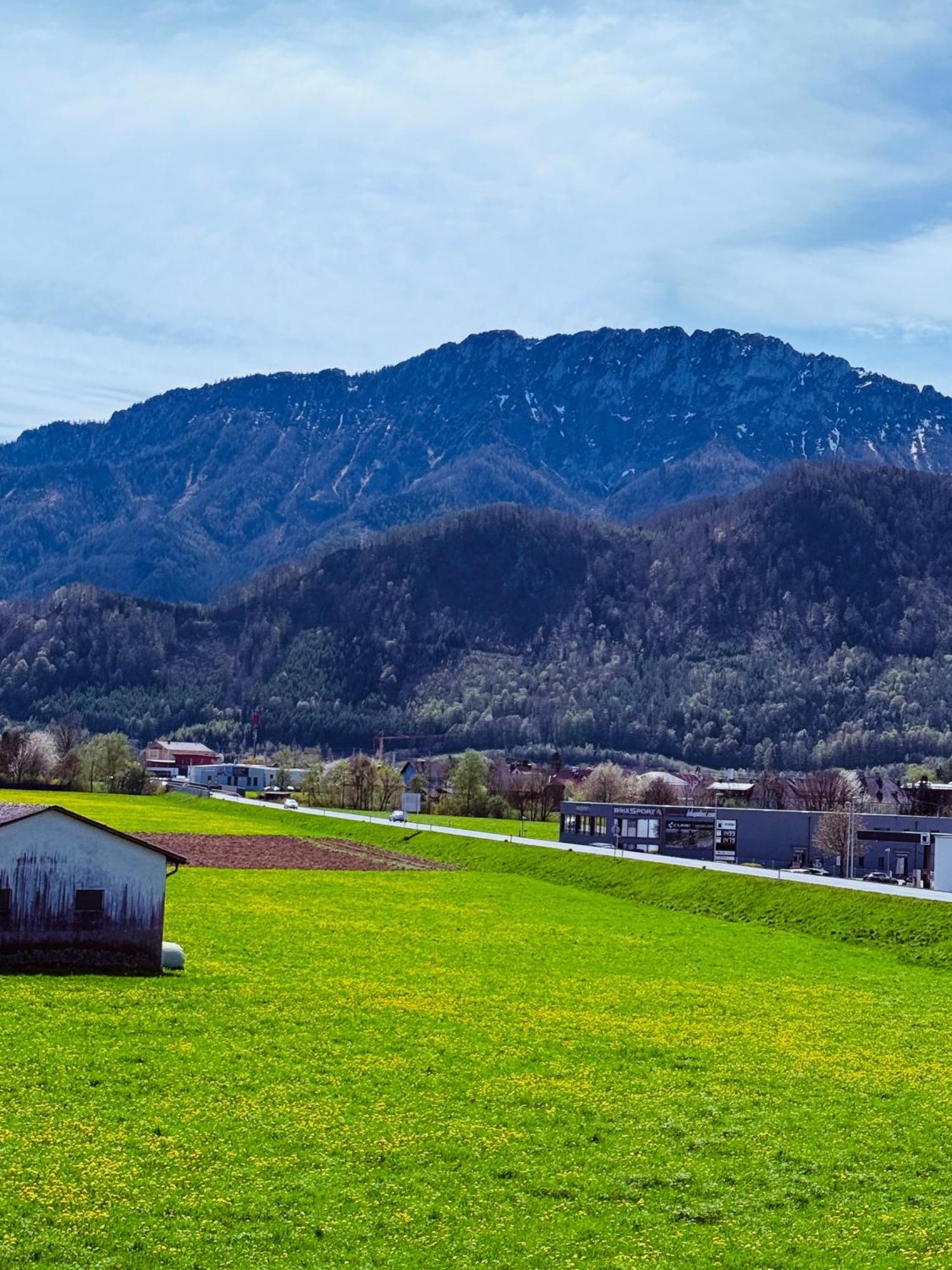 Zentrale Wohnung Mit Alpenblick Micheldorf in Oberosterreich ภายนอก รูปภาพ